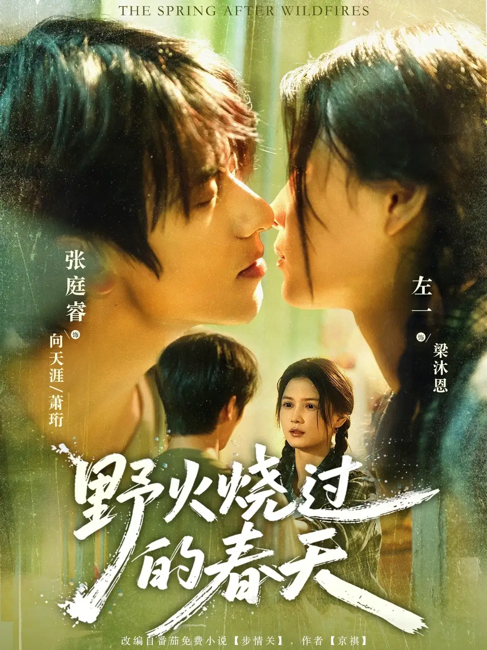 野火烧过的春天(85集)张庭睿&左一高清海报图片 野火烧过的春天(85集)张庭睿&左一海报