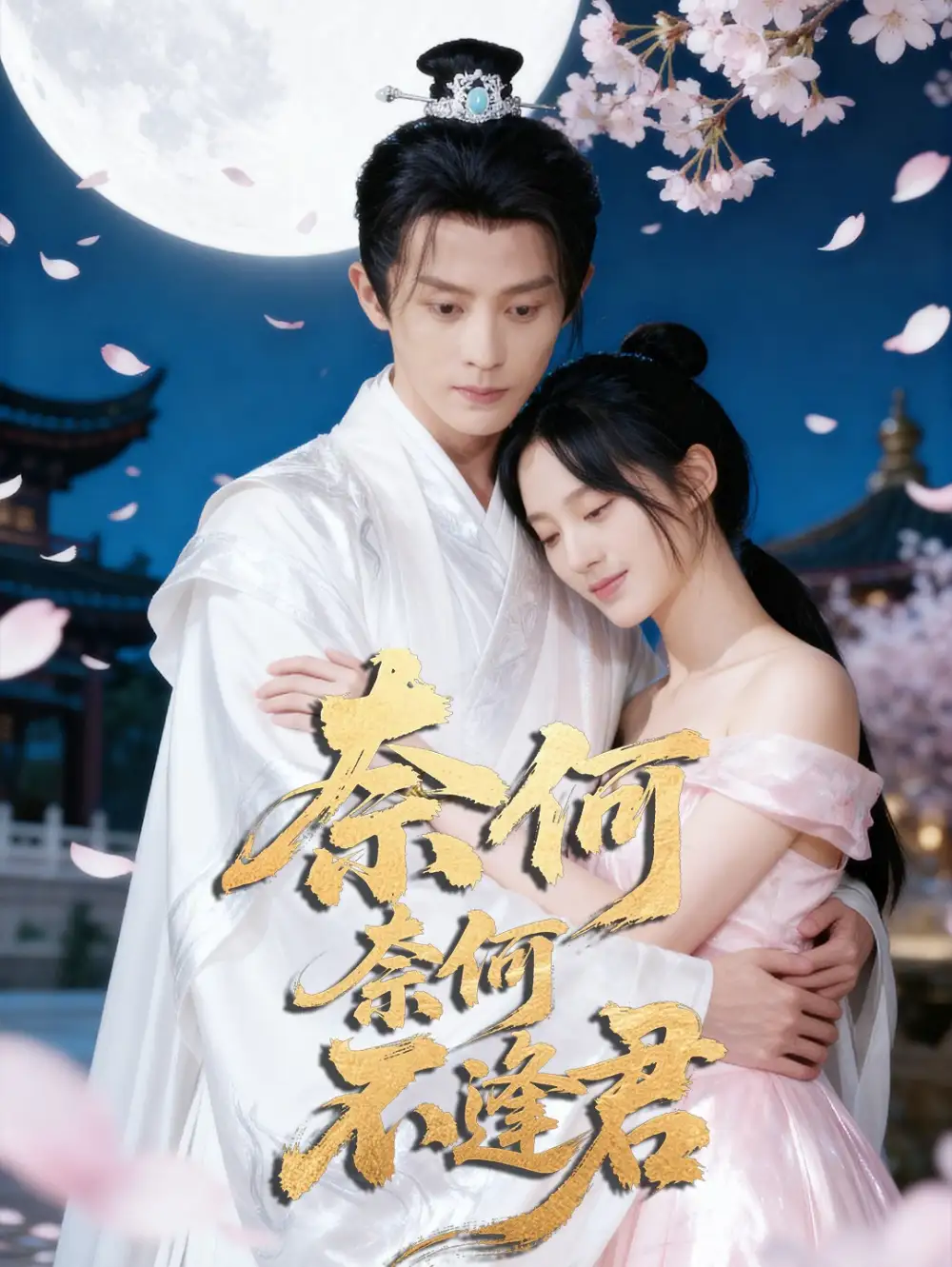 短剧《奈何奈何不逢君》夸克资源免费在线观看全集