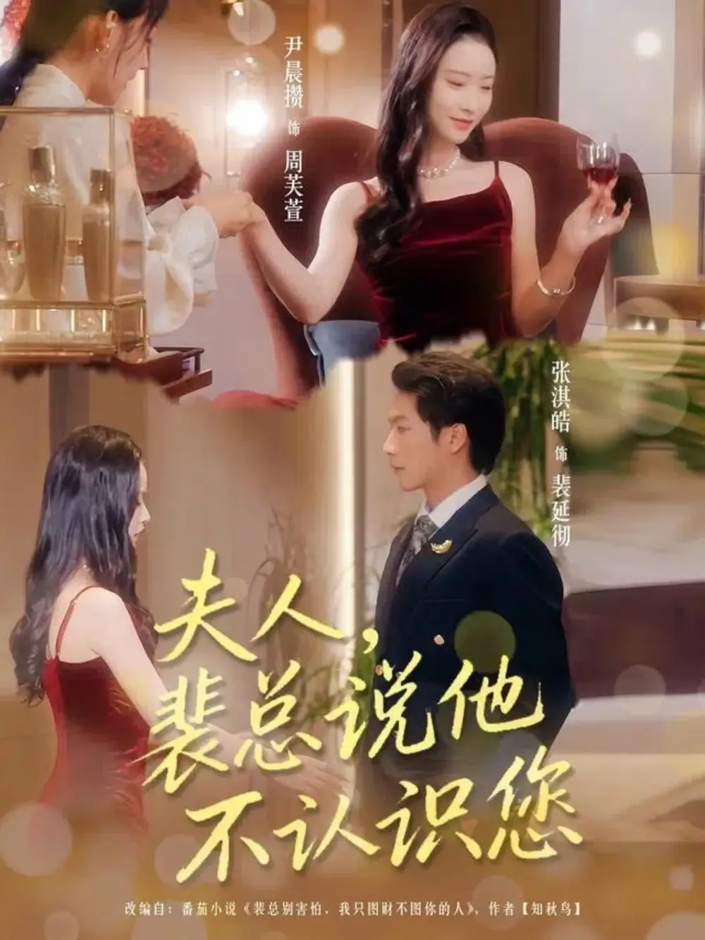 短剧《夫人裴总说他不认识您》夸克资源免费在线观看全集