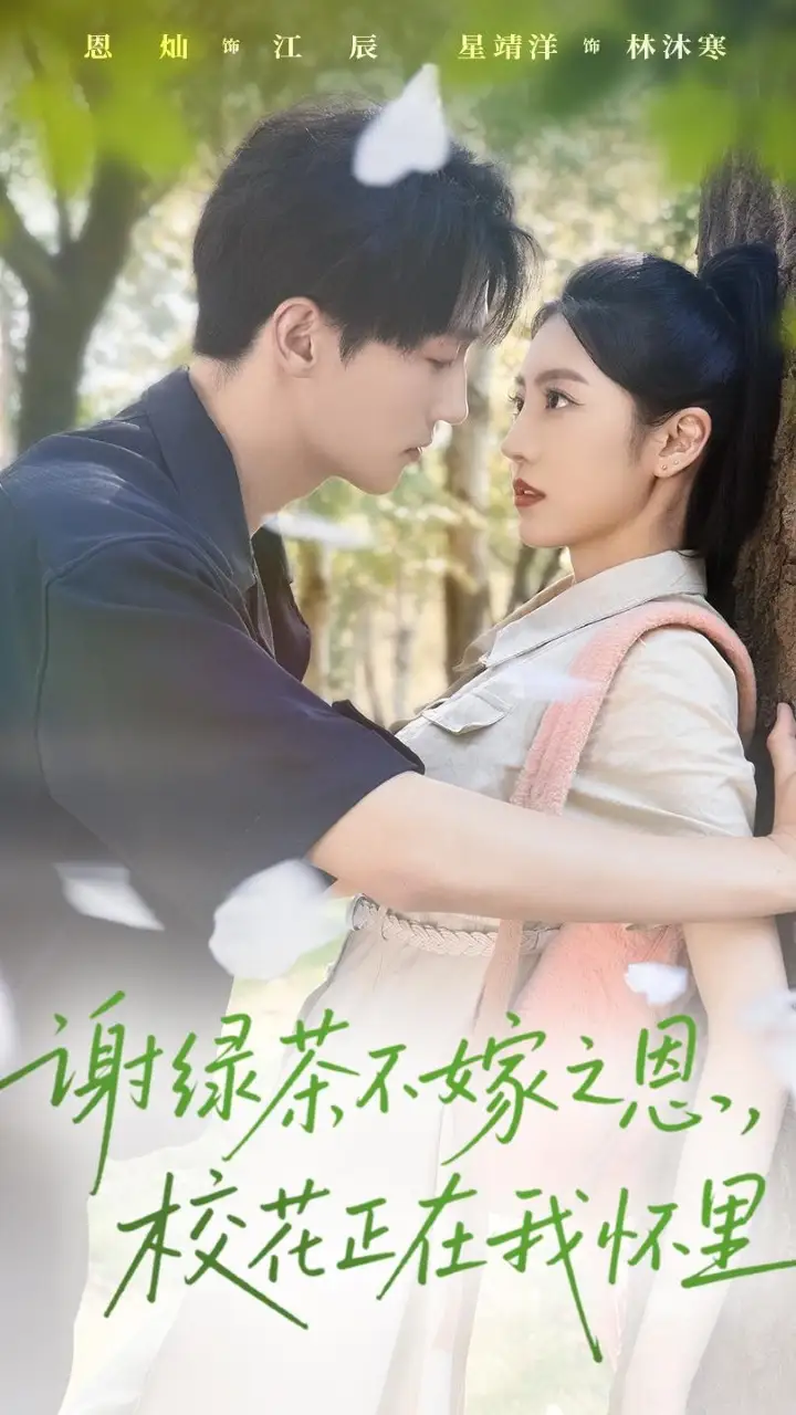 短剧《谢绿茶不嫁之恩校花正在我怀里》夸克资源免费在线观看全集