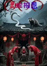 短剧《灵蛇报恩》夸克资源免费在线观看全集