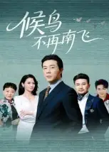 短剧《候鸟不再南飞》夸克资源免费在线观看全集