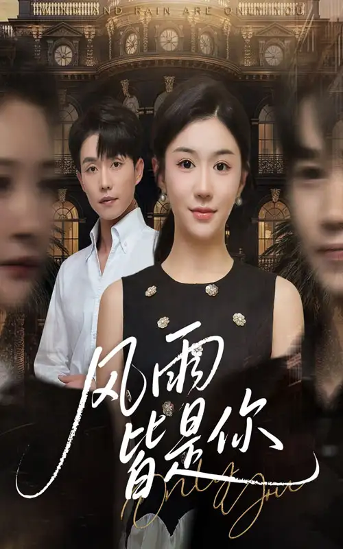 短剧《风雨皆是你》夸克资源免费在线观看全集