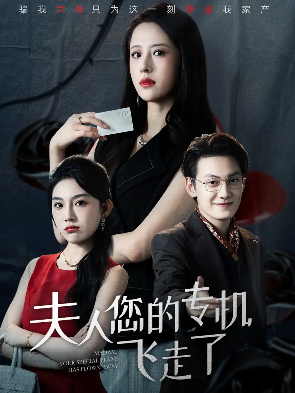 夫人您的专机飞走了（62集）王婧琦&陈泓龙海报