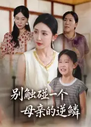 别触碰一个母亲的逆鳞（33集）苏梦雅海报