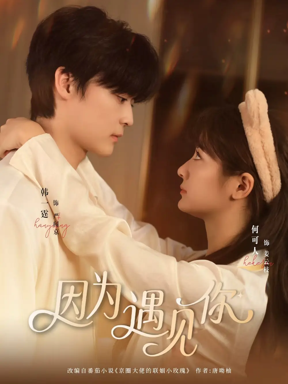 短剧《因为遇见你》夸克资源免费在线观看全集