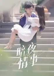 短剧《暗夜情事》夸克资源免费在线观看全集