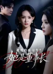 短剧《被甩的实习生？她是董事长！》夸克资源免费在线观看全集