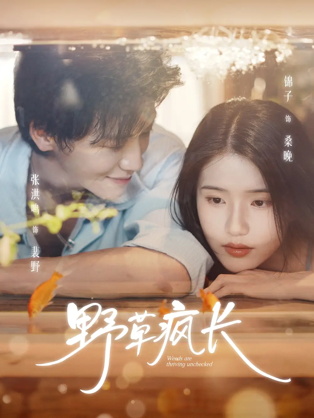 短剧《野草疯长》夸克资源免费在线观看全集