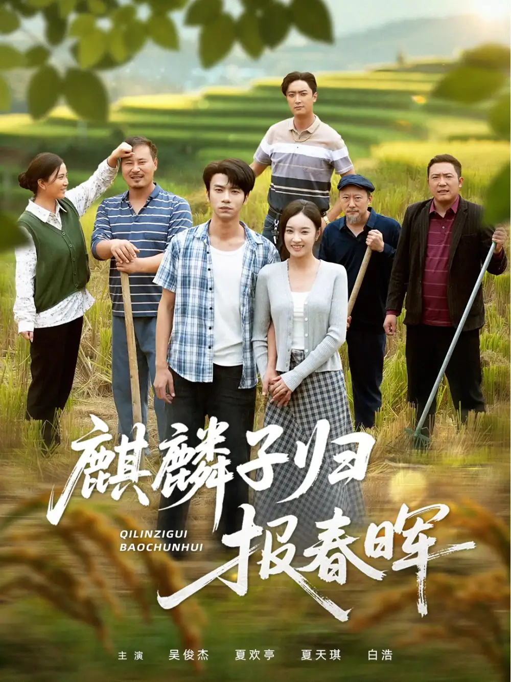 短剧《麒麟子归报春晖》夸克资源免费在线观看全集