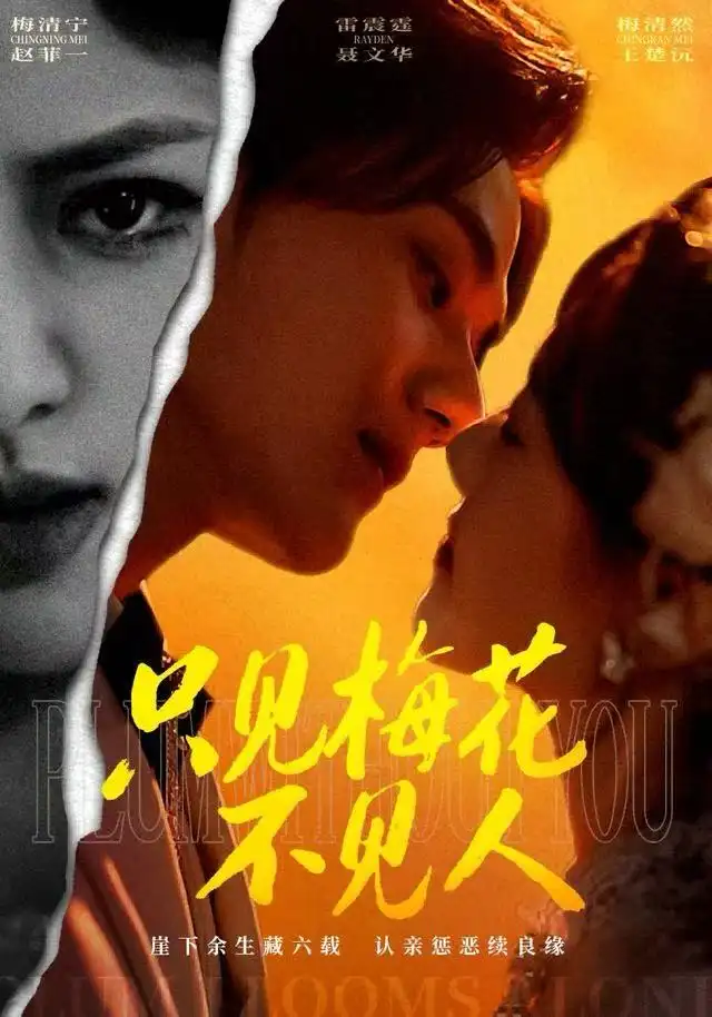 只见梅花不见人(63集)聂文华&王楚沅高清海报图片 只见梅花不见人(63集)聂文华&王楚沅海报