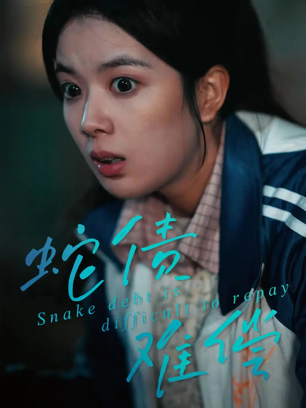 蛇债难偿（45集）一梦＆刘晖海报