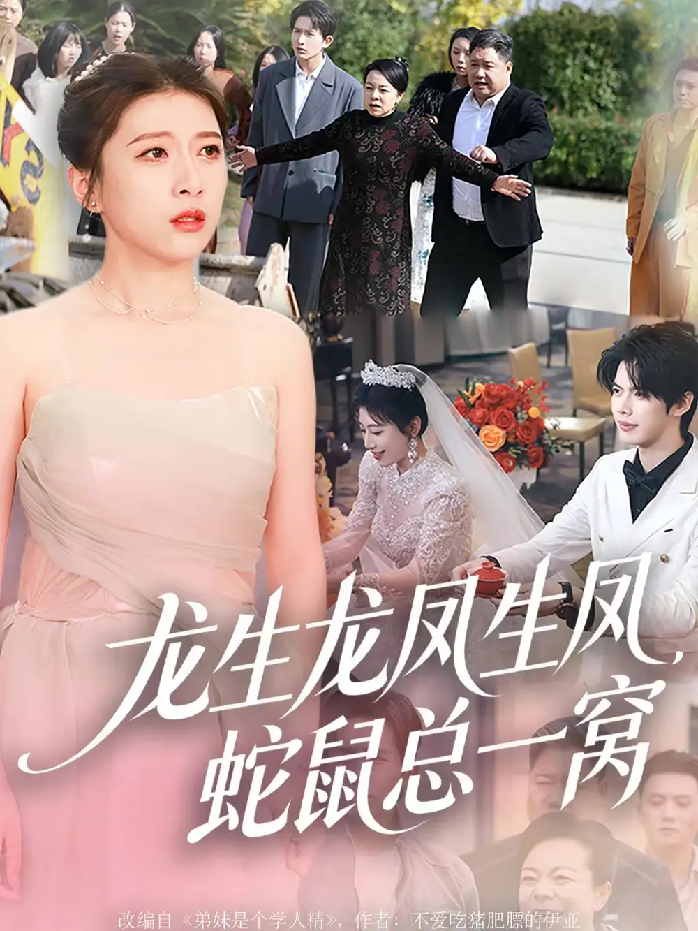 短剧《龙生龙凤生凤，蛇鼠总一窝》夸克资源免费在线观看全集